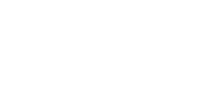 Kingsky Flight Academy Logo